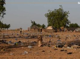 Niger : la dégradation de la ceinture verte de Niamey inquiète