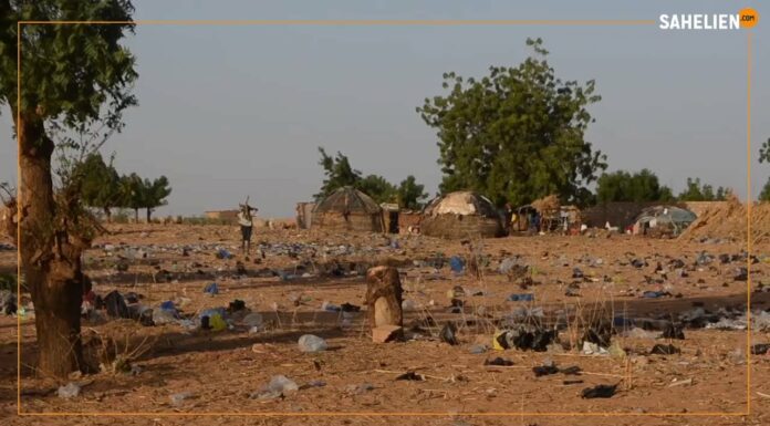 Niger : la dégradation de la ceinture verte de Niamey inquiète