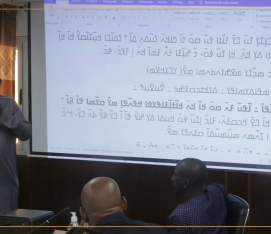 Mali : l’avenir des écritures endogènes en question