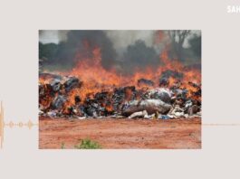 Le récap’ Sahel du 22 au 26 avril 2024