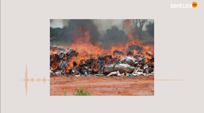 Le récap’ Sahel du 22 au 26 avril 2024