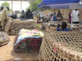 Niger : à Niamey, le marché de la volaille s’anime à la veille de la fête du ramadan