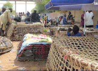 Niger : à Niamey, le marché de la volaille s’anime à la veille de la fête du ramadan