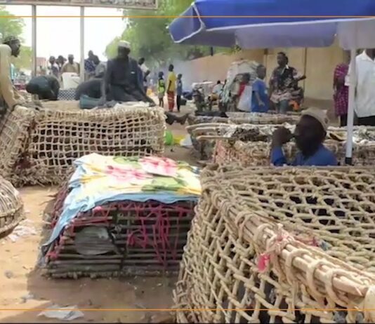 Niger : à Niamey, le marché de la volaille s’anime à la veille de la fête du ramadan