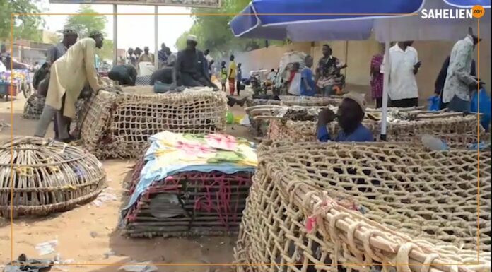 Niger : à Niamey, le marché de la volaille s’anime à la veille de la fête du ramadan
