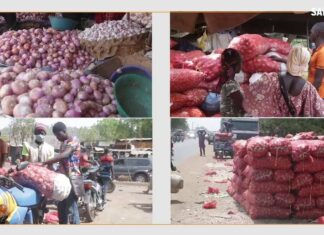 Mali : au marché de Médine, les commerçants face aux problèmes de conservation de l’oignon