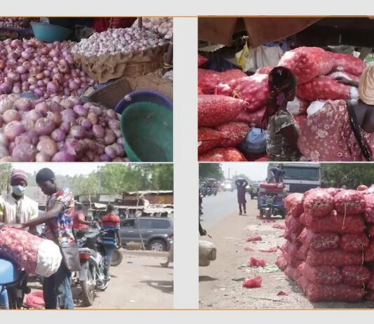 Mali : au marché de Médine, les commerçants face aux problèmes de conservation de l’oignon