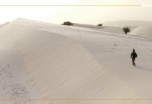 Mali : à Bintagoungou, les belles dunes de sable menacent les habitations