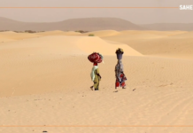 𝗥𝗲𝗴𝗮𝗿𝗱 𝘀𝘂𝗿…les dunes de sable à Bintagoungou dans la région de Tombouctou