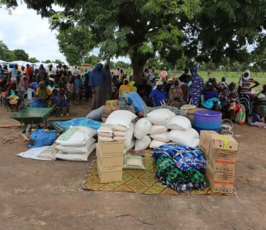 Le récap’ Sahel du 15 au 19 juillet 2024