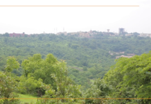 Mali/Forêt classée de Koulouba : des enfants initiés aux techniques de reboisement