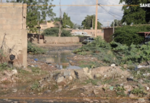 Niger : à Niamey, le quartier Dar Es Salam entre insalubrité et inondations