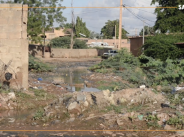 Niger : à Niamey, le quartier Dar Es Salam entre insalubrité et inondations