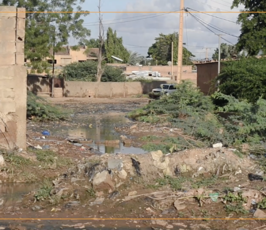 Niger : à Niamey, le quartier Dar Es Salam entre insalubrité et inondations