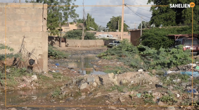 Niger : à Niamey, le quartier Dar Es Salam entre insalubrité et inondations