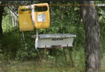 Burkina Faso : l’utilisation des pesticides, un danger pour l’apiculture