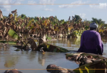 Mali-Niger : des milliers d’hectares de cultures sous les eaux