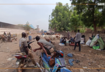 Mali/Fermeture des marchés à bétail à Bamako : « Notre quotidien se complique », boucher