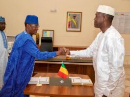 Le récap’ Sahel du 18 au 22 novembre 2024