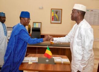 Le récap’ Sahel du 18 au 22 novembre 2024