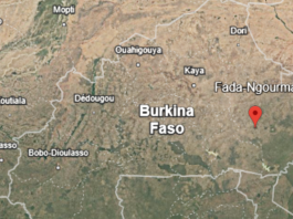 Le récap’ Sahel du 11 au 15 novembre 2024