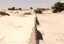 Mali/Bintagoungou : l’histoire d’une lutte au quotidien contre l’ensablement