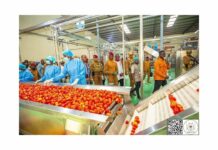 Le récap’ Sahel du 16 au 20 décembre 2024