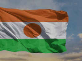 Niger : deux nouvelles personnes déchues de leur nationalité pour atteinte à la sécurité nationale