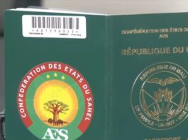 Le récap’ Sahel du 20 au 24 janvier 2025