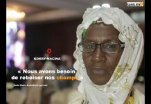 Mali/Restauration des terres dégradées : 118 associations communautaires identifiées