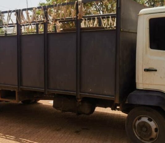 Le récap’ Sahel du 24 au 28 février 2025