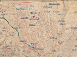 Niger : au moins « 15 criminels neutralisés » à Tillabéri après une embuscade meurtrière contre l’armée