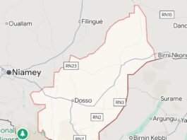 Niger : au moins 16 civils tués par des hommes armés dans la région de Dosso