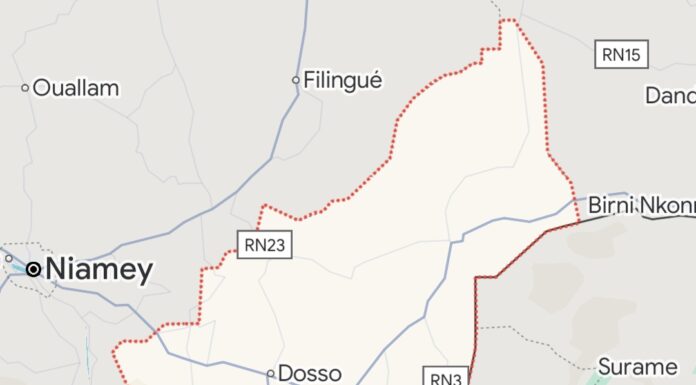 Niger : au moins 16 civils tués par des hommes armés dans la région de Dosso