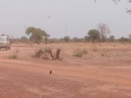 Niger : un « membre influent du JNIM » interpellé avec plus de 5 millions FCFA