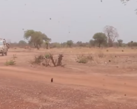 Niger : un « membre influent du JNIM » interpellé avec plus de 5 millions FCFA