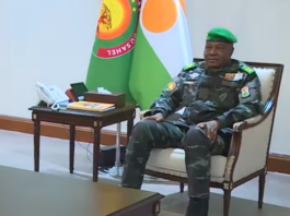 Niger : un Conseil consultatif mis en place pour appuyer la transition