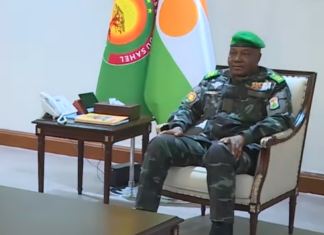 Niger : un Conseil consultatif mis en place pour appuyer la transition