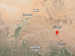 Niger : cinq travailleurs indiens enlevés lors d’une embuscade à Tillabéri