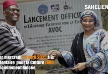 Mali : une assurance volontaire pour la Culture