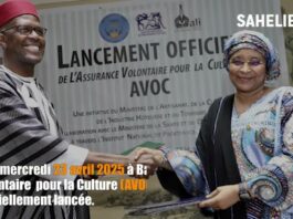 Mali : une assurance volontaire pour la Culture