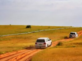 Niger : le gouvernement ordonne le départ des expatriés pétroliers présents depuis plus de 4 ans