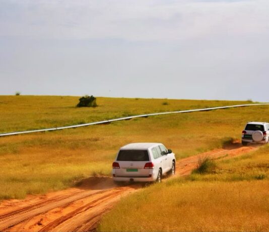 Niger : le gouvernement ordonne le départ des expatriés pétroliers présents depuis plus de 4 ans