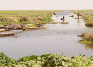 Mali/Tombouctou : des activités économiques renaissent avec la crue exceptionnelle du lac Faguibine