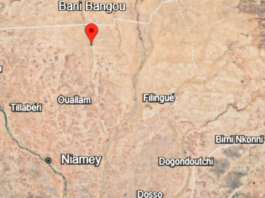 Niger : 34 soldats tués et 14 blessés lors d’une attaque dans l’ouest du pays (Armée)
