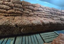 Le récap’ Sahel du 02 au 06 juin 2025