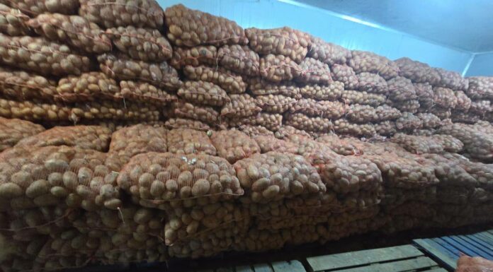 Le récap’ Sahel du 02 au 06 juin 2025