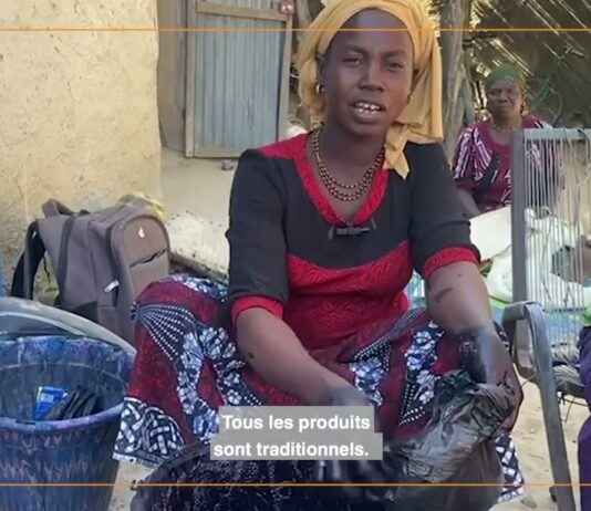 Mali/Teinture indigo dogon : entre tradition et résistance