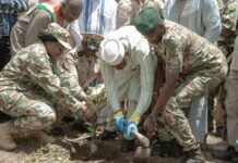 Mali : plus de 385 000 hectares à reboiser pour restaurer les terres dégradées