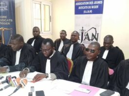 Niger : des jeunes avocats dénoncent le durcissement de la loi sur la cybercriminalité